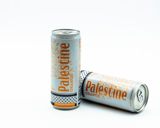 Palestinian Lemonade Baladi